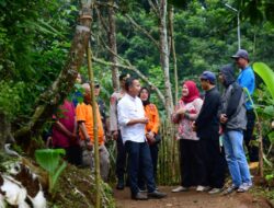 Tinjau Lokasi Bencana Longsor Tasikmalaya, Bey Pastikan Penanganan Berjalan Optimal