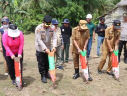 Bupati Yaumil Melakukan Penanaman Jagung Serentak Di Desa Ako